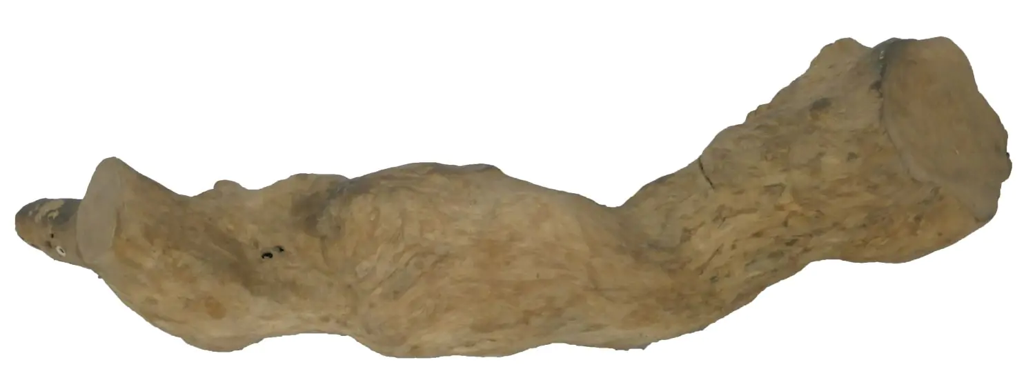  Product image 4 of the product “Teak Decko Coffee, with sizes in S, M, and L. Made from teak root (Plantation) ”